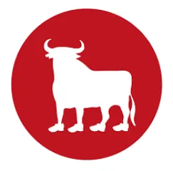  Bull Runner