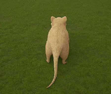 play game free online crazy mouse battle